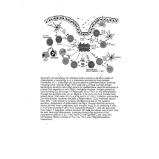 THEMMATA GASTRENTERIKOU 